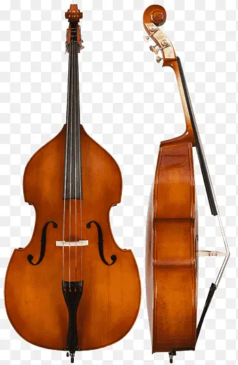 Contrabass